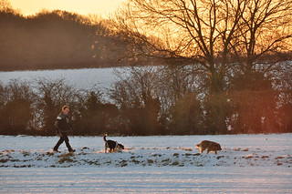 DSC_0019 Scawby North Lincolnshire White Christmas Day Morning Sunrise 8.40 am Winter Snow Dog Walker