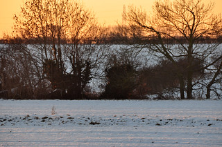 DSC_0013 Scawby North Lincolnshire White Christmas Day Morning Sunrise 8.40 am Winter Snow