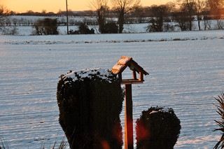 DSC_0011 Scawby North Lincolnshire White Christmas Day Morning Sunrise 8.40 am Winter Snow