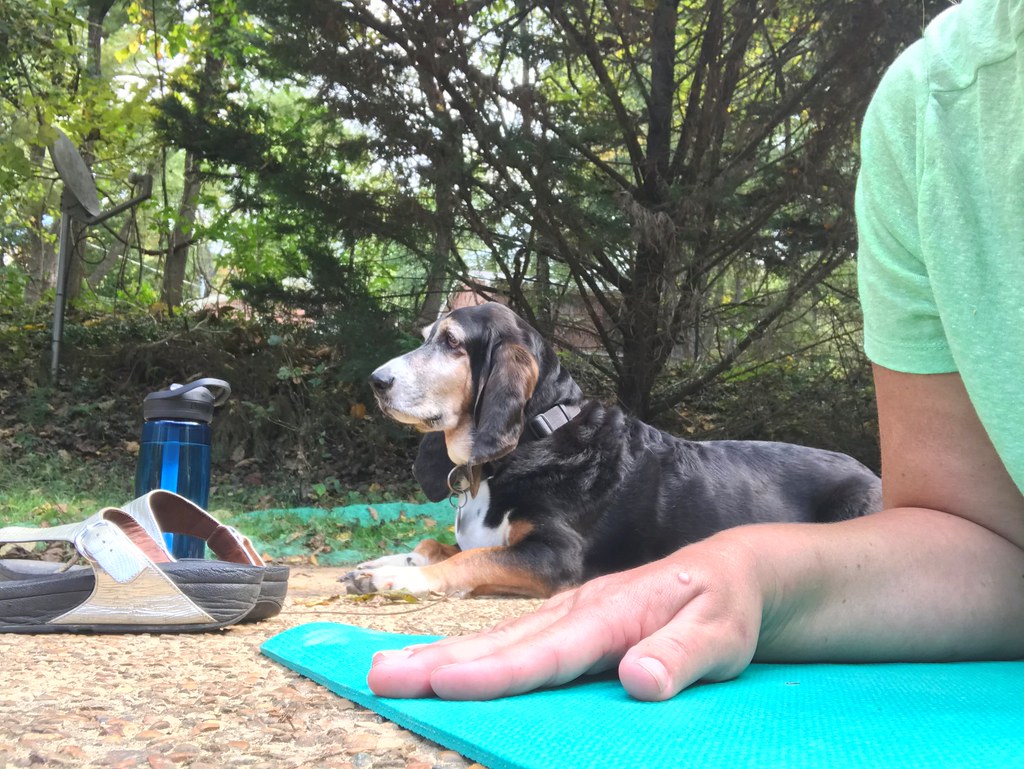 Yoga with my helper