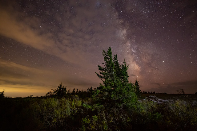 Dolly Sods at Night