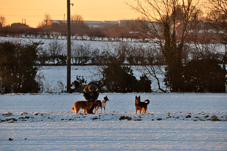 DSC_0024 Scawby North Lincolnshire White Christmas Day Morning Sunrise 8.40 am Winter Snow Dog Walker