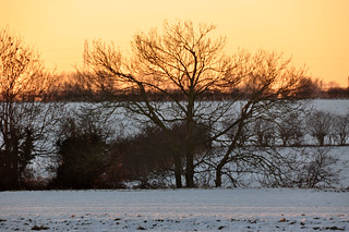 DSC_0014 Scawby North Lincolnshire White Christmas Day Morning Sunrise 8.40 am Winter Snow