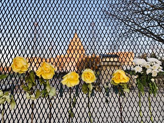 flowers for the victims of the Capitol Riot | by Joe in DC