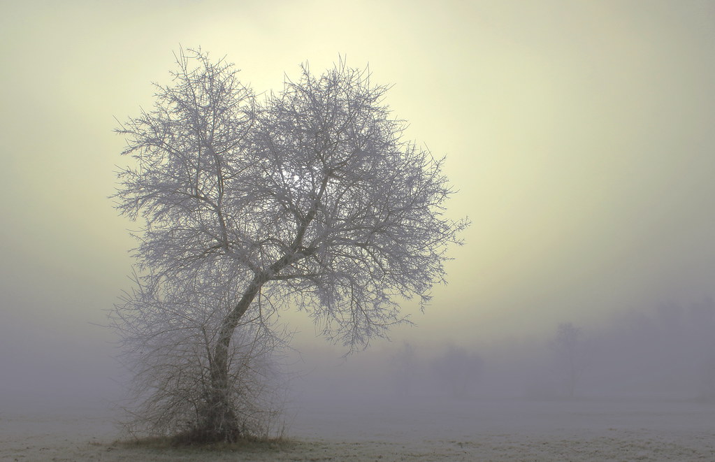 A misty day / EXPLORE / Egy ködös nap