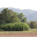 ban-thung-yai-meadowlands2