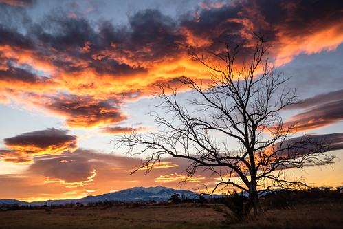 Couchant sur Canigou, | by jff66