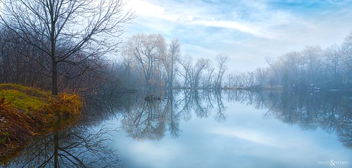 winter morning fog cold landscape water lake waterscape reflection trees sky flickrexplore art mist blue outside flickr
