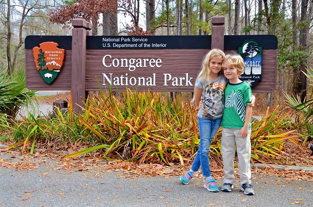 Welcome To Congaree National Park