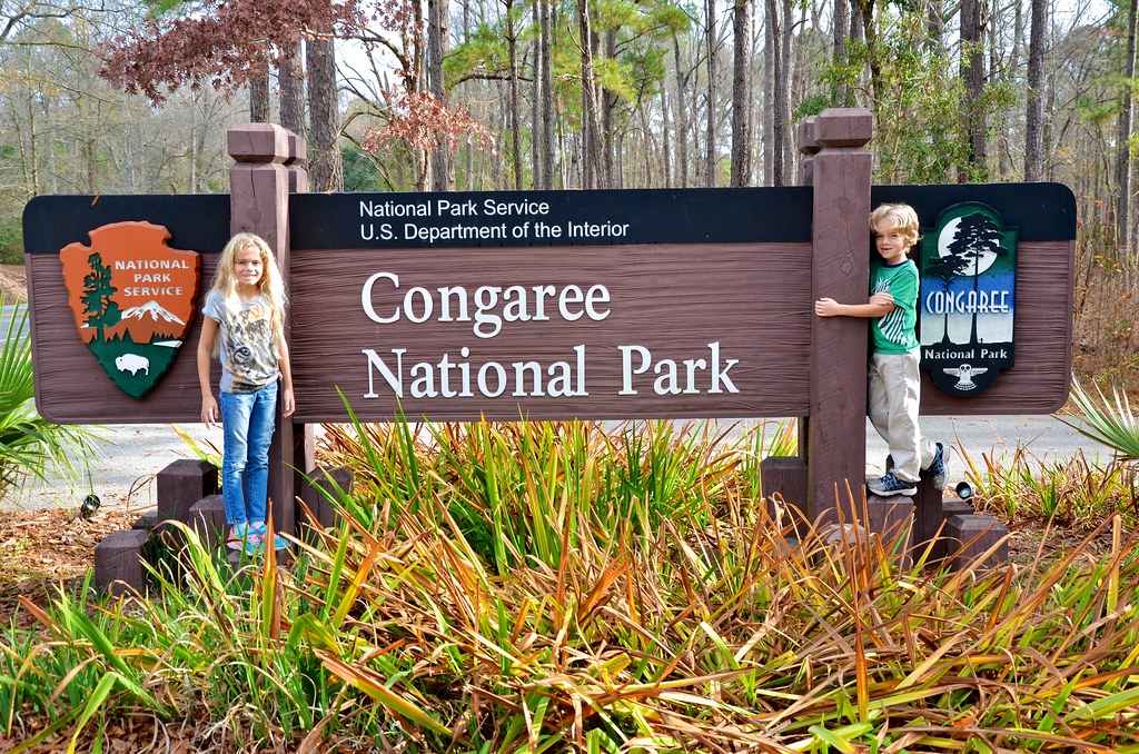 Welcome To Congaree National Park