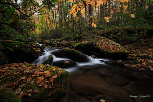 canon 6d 1635 f4 l landscape long exposure fall autumn gsmnp stream creek cascade harmon caldwell great smoky mountain national park leaf leaves color outdoor nature roaring fork trail