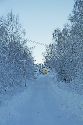 dsc5186 sverige västernorrland ångermanland väja latn62 ° 5818lon e17 °42″ nature winter snow snö kategori3snöstorm atranswe