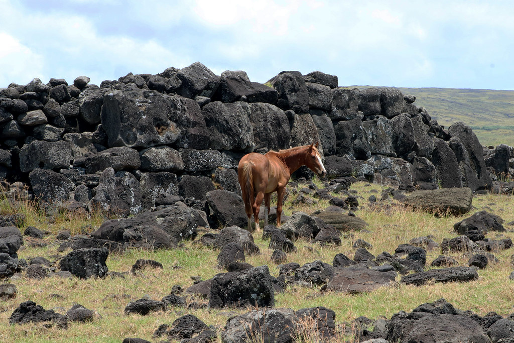The rear of Ahu Puna, near Ovahe, Rapa Nui