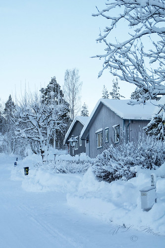 dsc5197 sverige västernorrland ångermanland väja latn62 ° 5818lon e17 °42″ nature winter snow snö kategori3snöstorm atranswe
