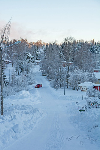 dsc5188 sverige västernorrland ångermanland väja latn62 ° 5818lon e17 °42″ nature winter snow snö kategori3snöstorm atranswe