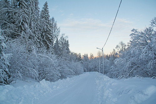 dsc5189 sverige västernorrland ångermanland väja latn62 ° 5818lon e17 °42″ nature winter snow snö kategori3snöstorm atranswe