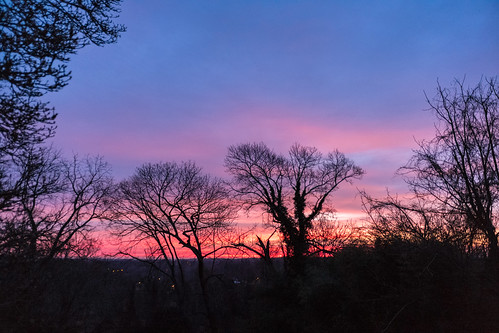 robbhohmann biogon color ƒ28 zm21mm iso3200 m10d 2128 leica virginia digital zeiss blue warrenton sunrise pink landscape