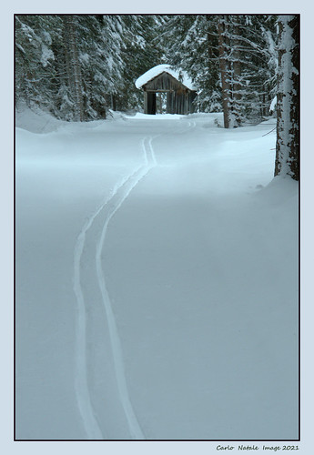 Winter trail | by cienne45