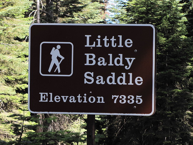Little Baldy Trail