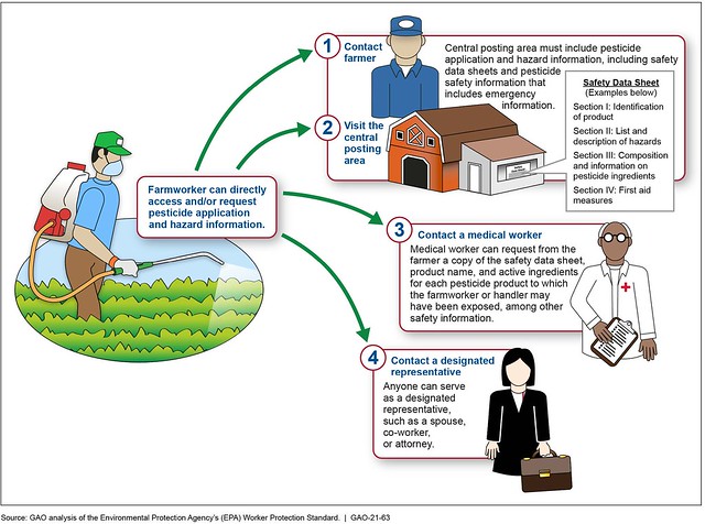 Figure 1: Various Methods in Which Farmworkers Can Access Information about Pesticide Application and Hazards under the Environmental Protection Agency's Worker Protection Standard