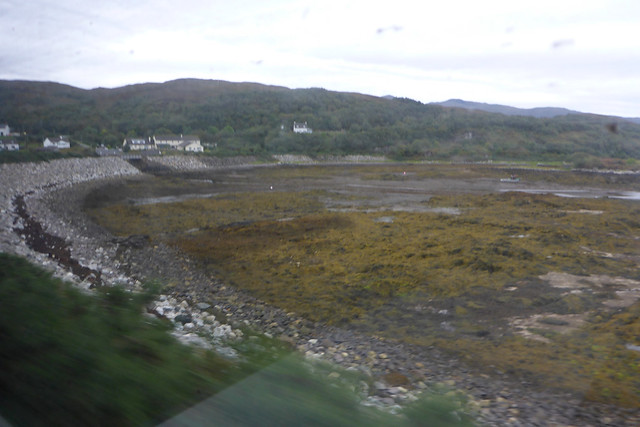 View from a train on the Kyle Line