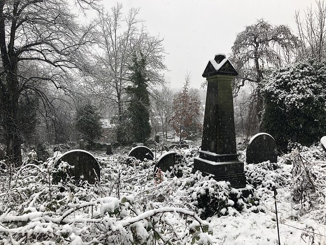 Sheffield’s General Cemetery, January 2021