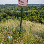 Read description Bottom of this sign someone wrote: &amp;quot;Don&#039;t jump I know how you feel. JB&amp;quot;  In Upper Sioux Agency State Park.