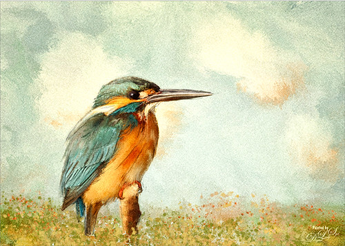 Digitally painted image of a Kingfisher
