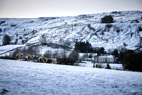 banktop britnatparks capture1 flickrelite flickr fujifilmxf1680f4 landscape northyorkmoors northyorkshire rosedale twop fujifilmxt4 weather winter snow sheep