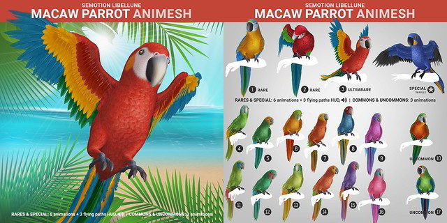 SEmotion Libellune Macaw Parrot Animesh