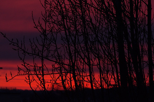 morningtwilight sunrise sky red sun morningred light lumière matin