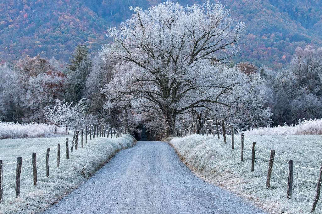 Sparks Lane in Cades Cove