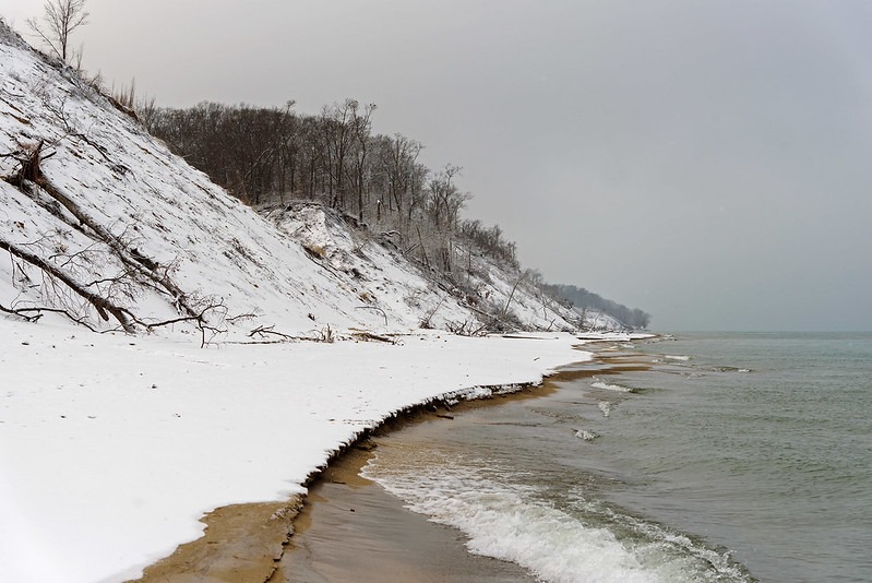 Snowy Shoreline
