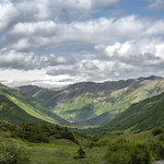 Palmer Creek Road