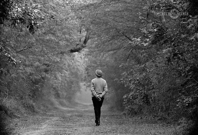 The lone walk