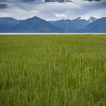 Hope Tidal Flat
