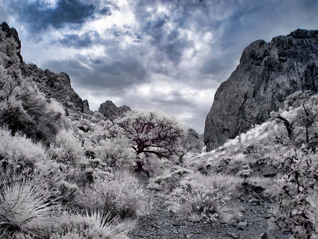 Infrared of Organ Mountains Near Las Cruces, NM