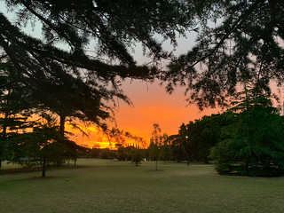 Sunset @ Caulfield Park
