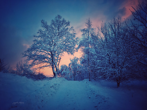 norwegianlandscapes ngc norway snow landscapephotography