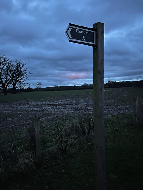 Signpost in the early morning