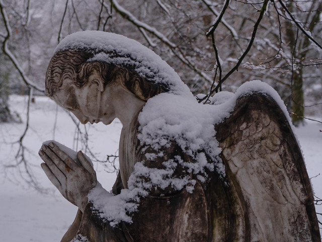 CH ZH Snow in the City. Friedhof Sihlfeld