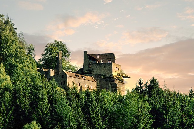 Burg SPANGENBERG im Pfälzer Wald