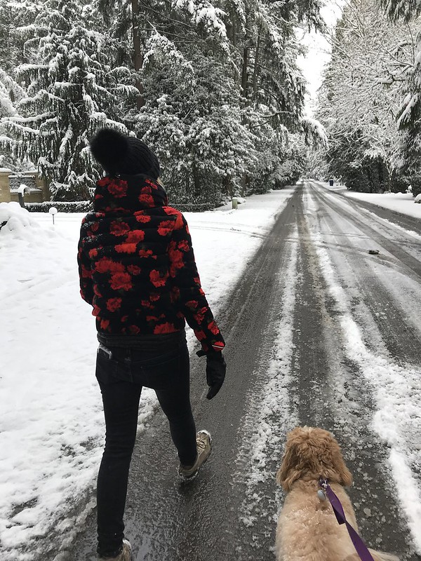 Walking our dog Mattie on a snowy day 2020