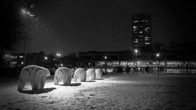 The Night March of the Massimals and The Hop and the Snow