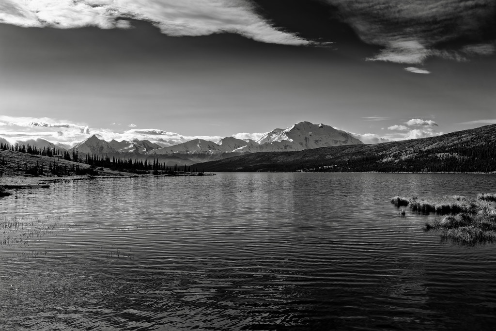 I Found Some Sweet Moments Living Day by Day in Alaska! (Black & White, Denali National Park & Preserve)