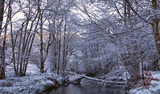 River Esk snowfall.