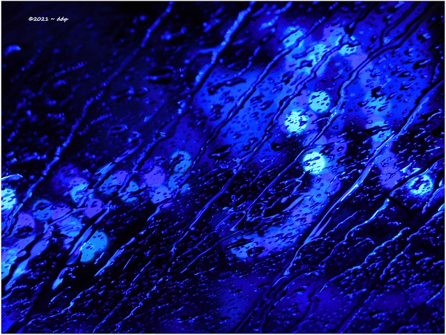 Blue Water Rainting ~ Christmas Lights