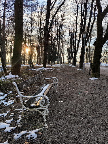 park tree bench path sun sunrise ???? ???????? xiaomi smartphone phone