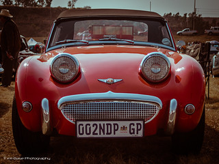 Frogeye | by eX-Base Photography