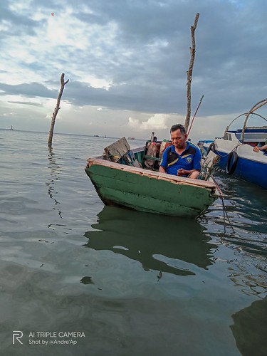 a fisherman who is repairing his network | by aandre542